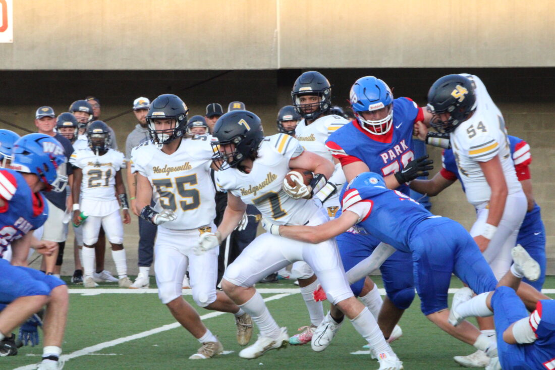 Wheeling Park Routs Hedgesville Eagles 560 News, Sports, Jobs The